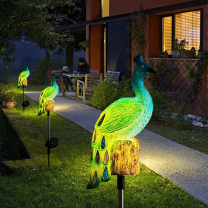 PeacockGlow Solar Garden Stakes – Outdoor Waterproof LED Path Lights for Patio, Pathway & Lawn