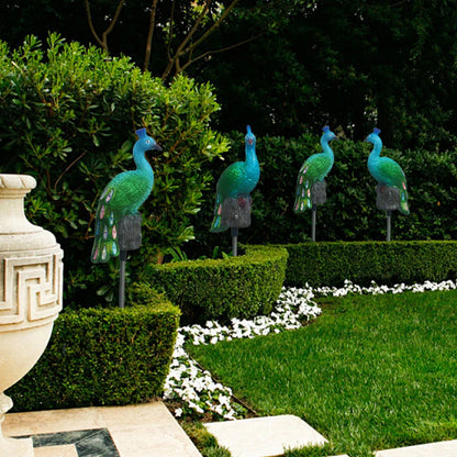 PeacockGlow Solar Garden Stakes – Outdoor Waterproof LED Path Lights for Patio, Pathway & Lawn