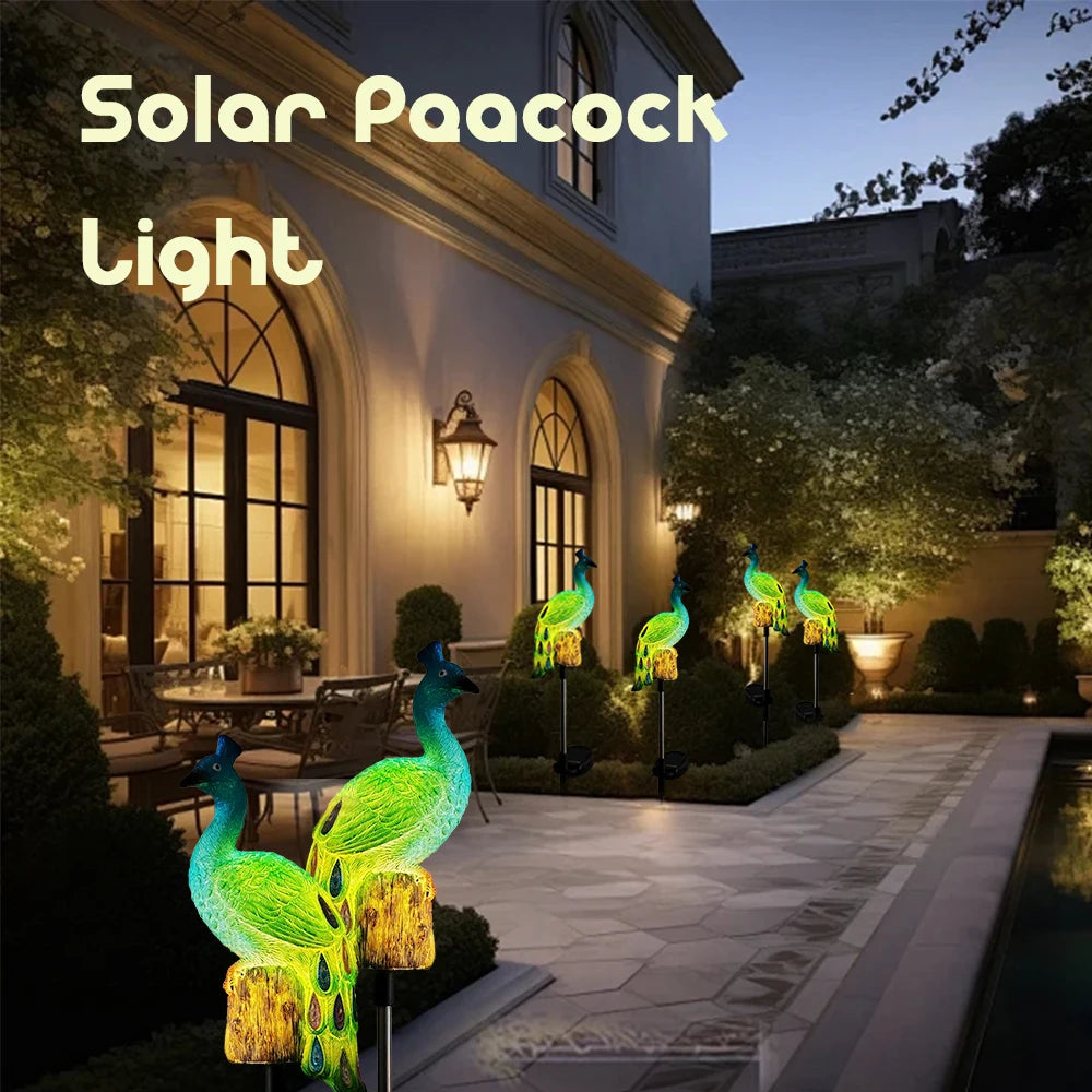 PeacockGlow Solar Garden Stakes – Outdoor Waterproof LED Path Lights for Patio, Pathway & Lawn